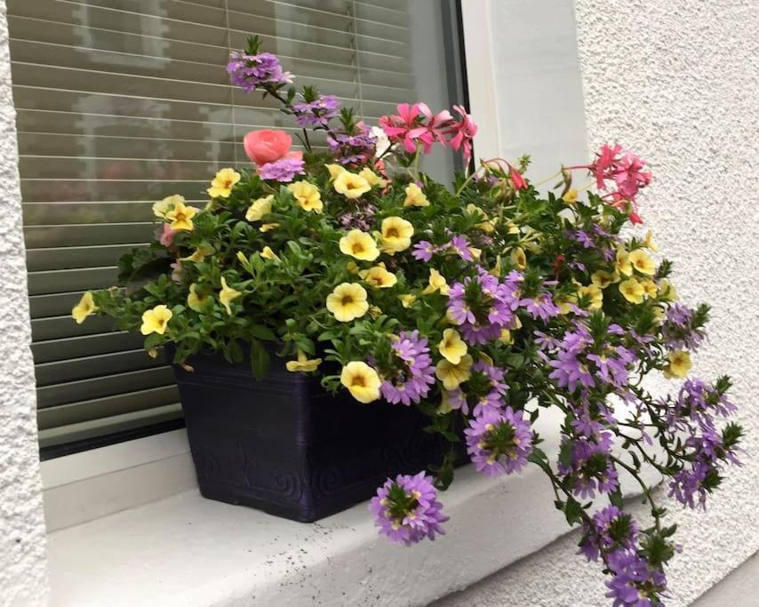 Belfast Townhouse In Prime Location In Belfast City Buitenkant foto